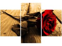 product-compare-58645943