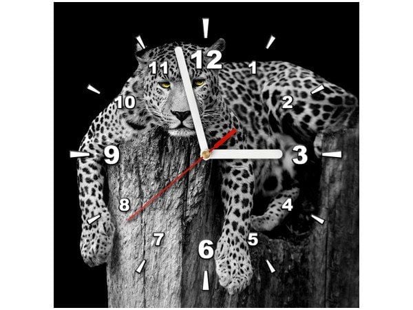 30x30cm Zegar ścienny Dziki kot lampart obraz drukowany podobrazie malowane zdjęcie 1