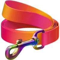 2 x Smycz WAUDOG Nylonowa 20mm 122cm Dla Psa Pomarańczowa Gradient