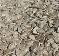 PESTKI DYNI W ŁUPINIE NIEŁUSKANE 2,5 kg - Polskie