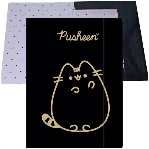 Teczka Z Gumką A4 300 G/M2 Pusheen Gold 5171 A'10 na Arena.pl