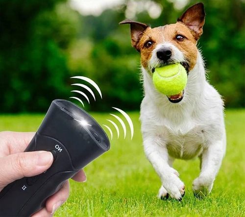 Ultradźwiękowy Odstraszacz Psów Treser Elektryczny z Latarką LED na Arena.pl