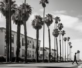 Plakat 60x50cm Spacer w Cieniu Palm