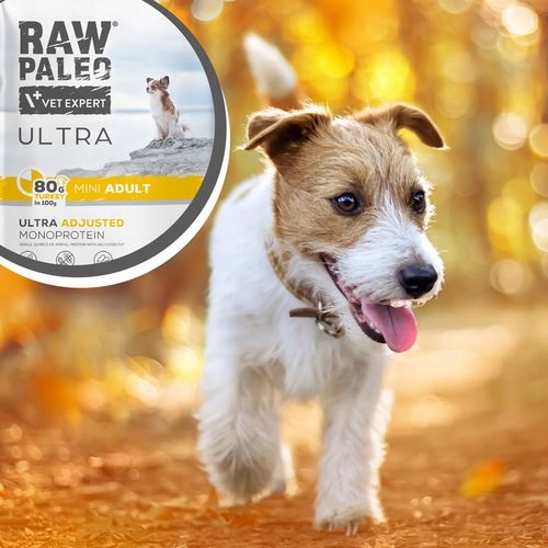RAW PALEO ULTRA TURKEY ADULT MINI 2kg-sucha karma indyk dla psów ras małych na Arena.pl