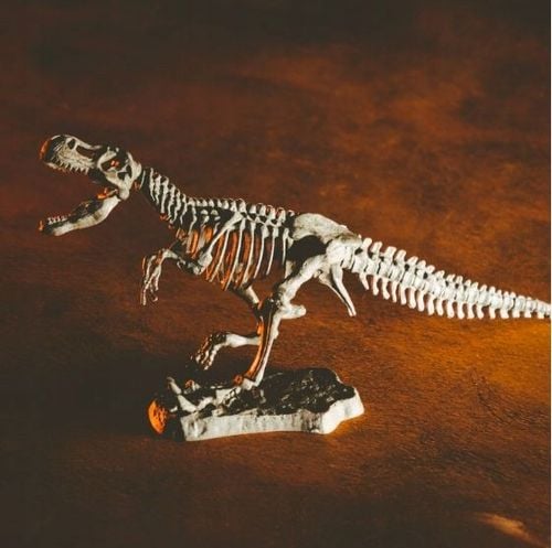 crazy science smoki i dinozaury 4141 na Arena.pl