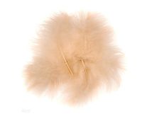 PIÓRA INDYCZE 15CM 5 SZT BEŻOWE CEPI-045 DP CRAFT