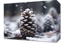 product-compare-59466442