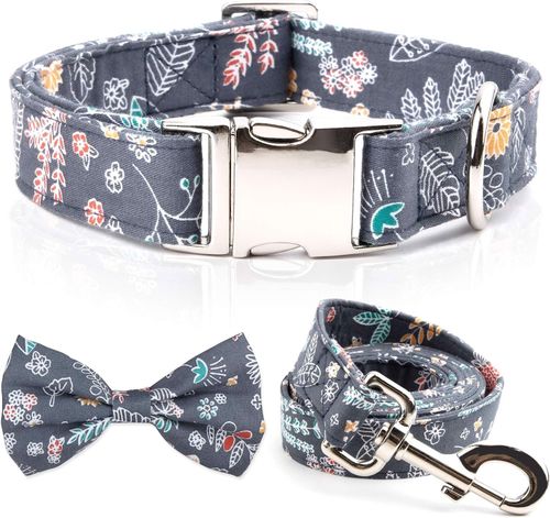 Smycz z Obrożą dla Psa Regulowana 1.5m na Arena.pl