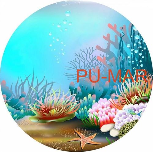 Opłatek na tort Urodziny Arielka Księżniczka Rybka Tekst Gratis na Arena.pl