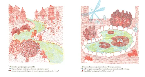 Co kryje las? na Arena.pl