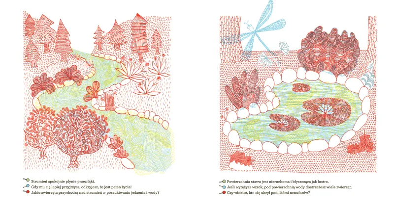 Co kryje las? zdjęcie 3