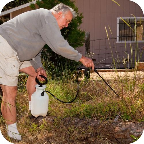 ROUNDUP DYNAMIC 1L OPRYSK NA CHWASTY RANDAP MOCNIEJSZA FORMUŁA na Arena.pl