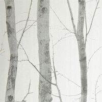 TAPETA DRZEWA BRZOZY LIŚCIE LAS STYL SKANDYNAWSKI