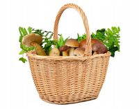 Polski Kosz na zakupy koszyk na grzyby PREZENT