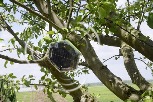 Odstraszacz Ptaków Gołębi Solarny na Arena.pl