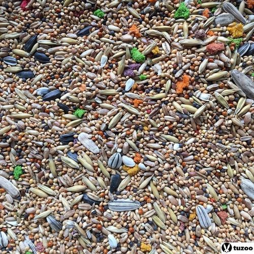 Kokino premium karma jedzenie dla nimf i średnich papug 3l, Dako-Art na Arena.pl