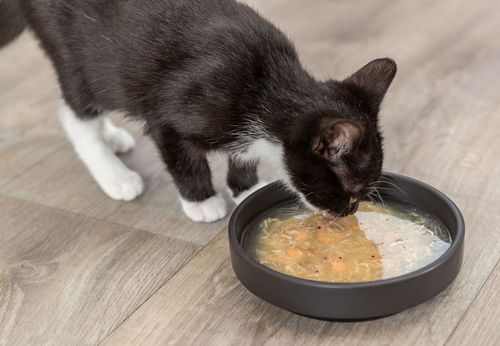 TRIXIE Salmon Soup Zupa łososiowa łosoś kurczak przysmak kota puszka 80g na Arena.pl
