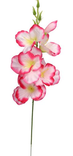 MIECZYK MIECZYKI 1SZT 57CM SZTUCZNE KWIATY ROŚLINY na Arena.pl