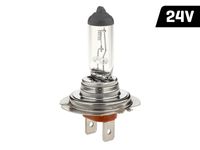 Żarówka VISION H7 24V 70W PX26d U E4