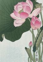 Plakat 70x100cm Blooming Lotus Flowers, Koson Japoński Vintage do Salonu