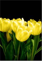 product-compare-58712234