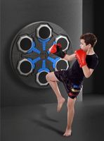 Bokserska inteligentna ściana muzyczna maszyna do boksu prezent ShaGoLand