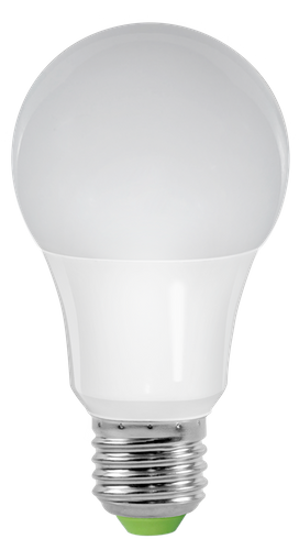 Żarówki LED na Arena.pl