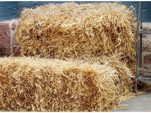 Słoma legowisko ściółka budy psa królik 10kg xxl na Arena.pl