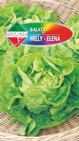 NASIONA Sałata Głowiasta Masłowa Gruntowa Milly - Elena 1g SPÓJNIA 326390