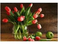 product-compare-58694706