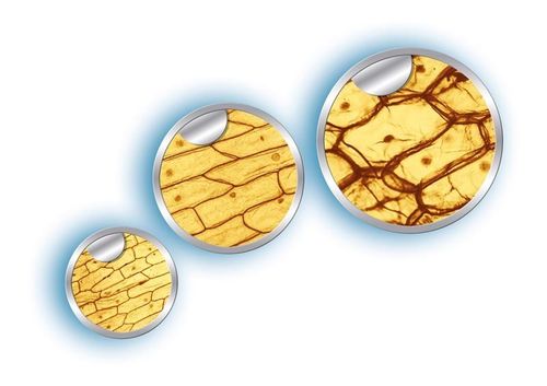 CLEMENTONI Mikroskop na Arena.pl