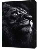 product-compare-59587888