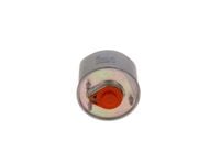 BOSCH FILTR PALIWA CITROEN C3 II C4 C5 III DS3 DS4 DS5 JUMPY 1.6 HDI