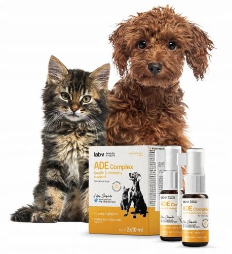 WITAMINY ADE DLA PSÓW I KOTÓW na Arena.pl