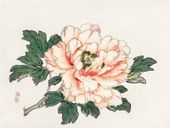 Plakat 20x15cm Pink Rose,  Kōno Bairei Japoński Vintage do Salonu