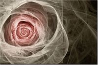 100 70CM OBRAZ PŁÓTNO RÓŻA KTALNA JASNY RÓŻ PŁÓTNO RAMA