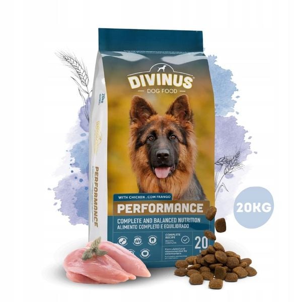 DIVINUS Performance karma sucha dla psa owczarek labrador witaminy 20kg zdjęcie 1