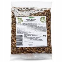 Koper włoski Herbapol Kraków owoc 50g