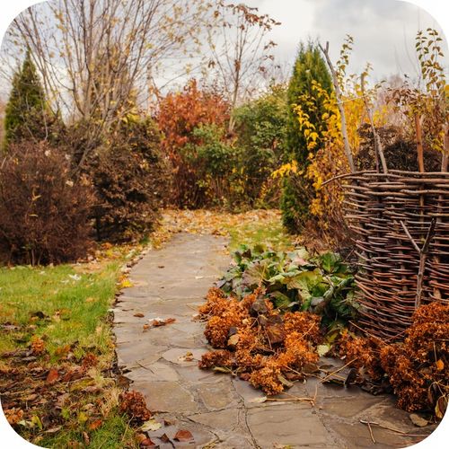 FLOROVIT NAWÓZ JESIENNY DO IGLAKÓW 4KG na Arena.pl