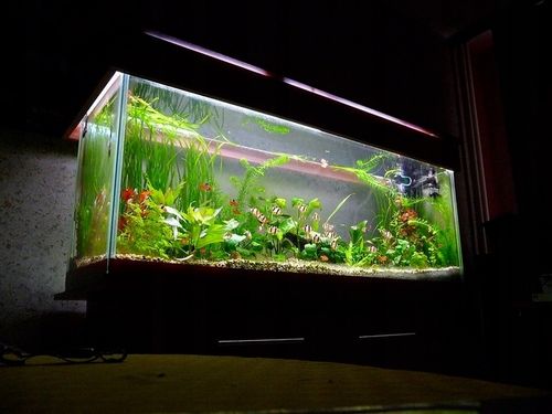 NATURALNY ŻWIREK 1-4 mm 25 kg AKWARIUM na Arena.pl