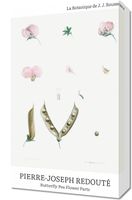 Obraz 30x50cm Butterfly Pea Flower, Redoute Vintage do Salonu