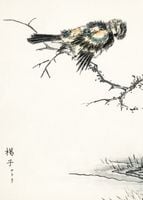 Plakat 50x70cm Brambling, Kashu Japoński Vintage do Salonu