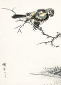 Plakat 50x70cm Brambling, Kashu Japoński Vintage do Salonu