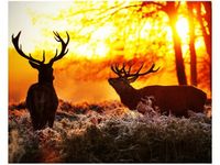 40X50CM RYKOWISKO OBRAZ