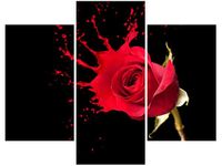 product-compare-58682147