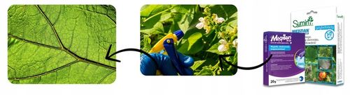 Oprysk Preparat Środek Owadobójczy + Grzybobójczy Miedzian+Mospilan ZESTAW na Arena.pl