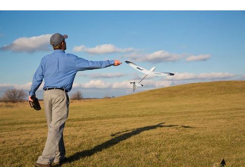 Whipit DLG Bind & Fly Basic na Arena.pl