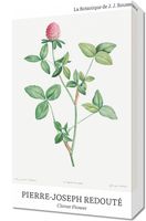 Obraz 30x50cm Design Clover Flower, Redoute Vintage do Salonu