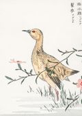 Plakat 29,7x42cm Redshank, Kashu Japoński Vintage do Salonu