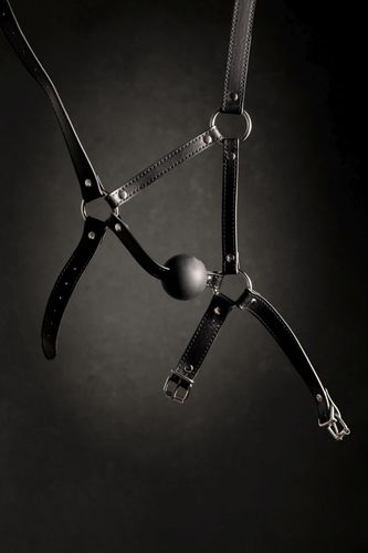 Head Harness With Solid Ball Gag - Black na Arena.pl